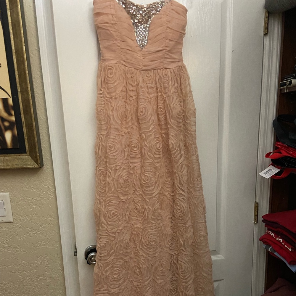 Blush rose women’s dress